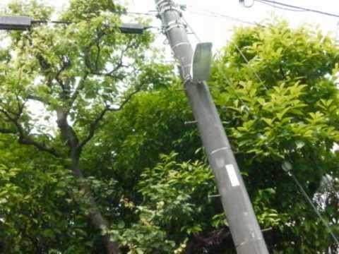 【雑談】サンドイッチ・トースター ニュー・バウルー