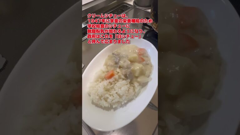シチューはご飯にかけるだろ！普通