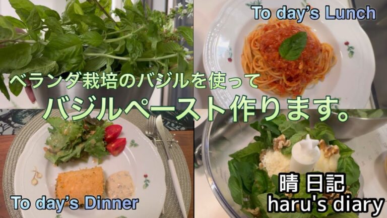 バジルペーストを作る/簡単パスタ/バジルペーストを使って晩御飯/お気に入りのジノリのお皿