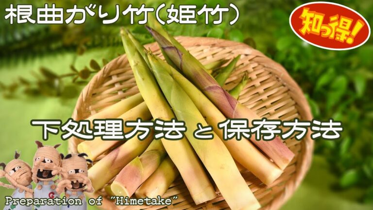 根曲がり竹(姫竹､細竹)の下処理と保存方法《揚げ物や煮物、焼き物にしても美味しい山菜採りでも人気の細いタケノコ》Preparation of "Himetake"