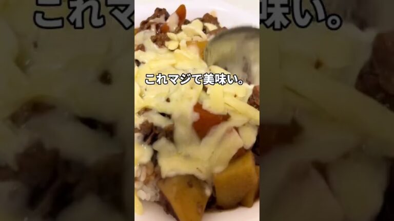【簡単レシピ】犯罪級に美味いビーフシチューの食べ方【ハ◯ダ風】