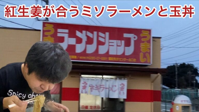 【栃木グルメ】あっさりネギ味噌チャーシュー麺と玉丼【栃木県鹿沼市】ラーメンショップ 免許センター北口店