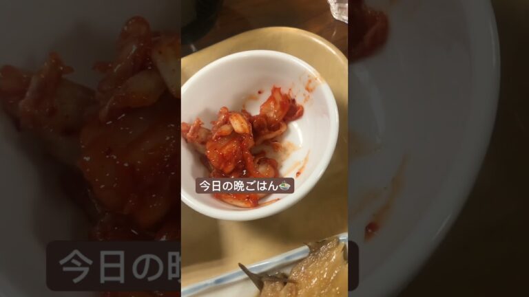 カレイ煮付け🍚サラダ🥗