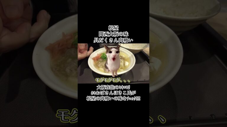 【猫ミーム】関西の味!!!松屋の具だくさん肉吸いを味わう!!!（#猫ミーム　#猫マニ　#catmeme　#Short）