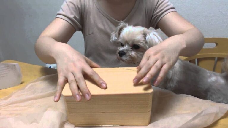 たごさく福重ね二段弁当　開封