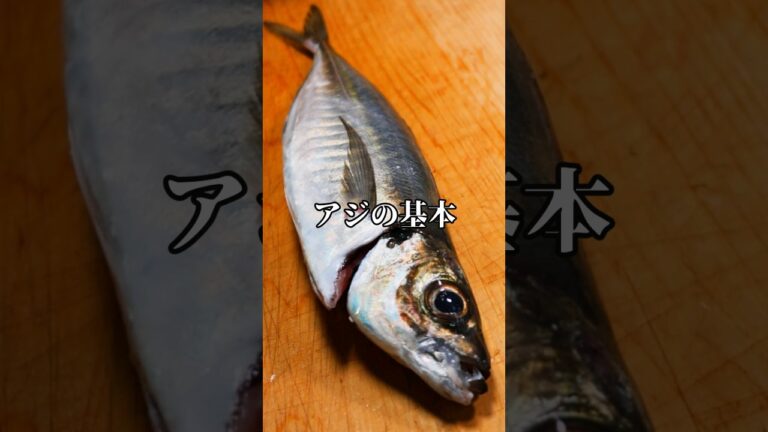 どんな料理にも使えるアジの三枚おろし #アジ #魚の捌き方 #三枚おろし