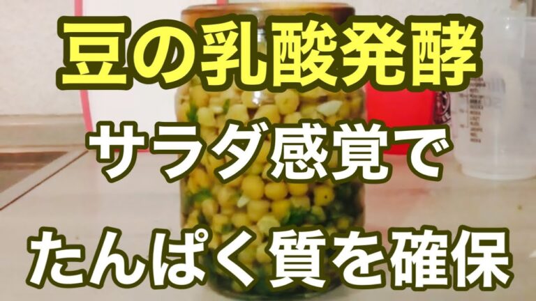 乳酸ビーンズ（ひよこ豆とディルの乳酸発酵）　ディルビーンズ　ベテラン調理師の発酵チャレンジ