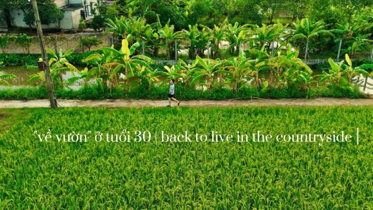 Vlog khởi sự, "về vườn" ở tuổi 30 | “retire at 30s”, back to live in the countryside 🇻🇳