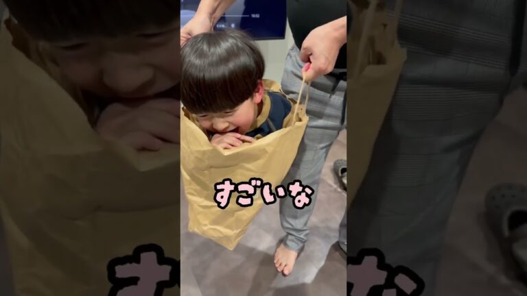 椎茸の運搬。#shorts #しょうやん男三兄弟