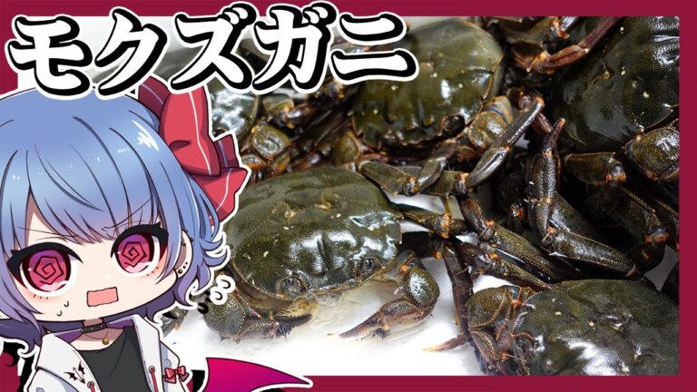 生きた大量のモクズガニでモクズガニ定食を作ったら絶品すぎた！！【お料理】【ゆっくり実況】