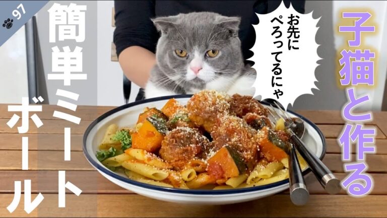 【第97話】短足マンチカンの子猫と作る《ミートボール》