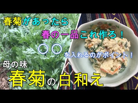 かんたん Cooking 158 春菊があったら春の一品これ作ろ！母の味  春菊の白和え 〇〇を入れるのがポイント！