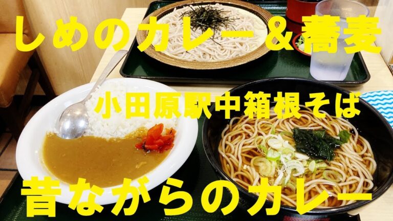 【焼鳥日高】【鳥貴族】【箱根そば】★小田原ぶらり旅！久々に会った友達とハッスル・ハッスル～★