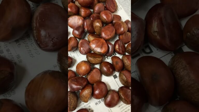 当たって砕けろ♩#栗🌰の虫どめ #下処理 #Shorts