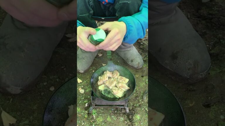 【雨キャンプ】チキンでチーズフォンデュ#shorts