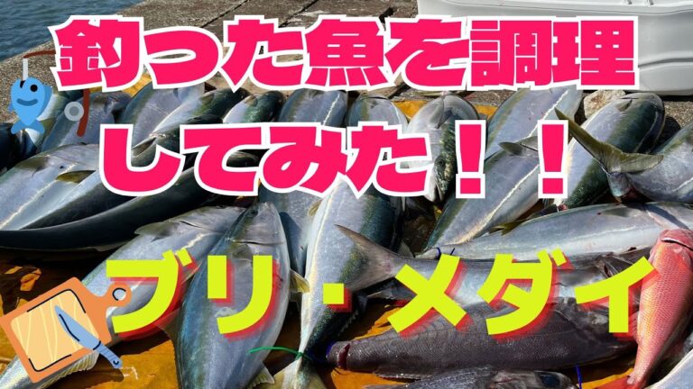 【魚調理】釣った魚を調理します（ブリ・メダイ）