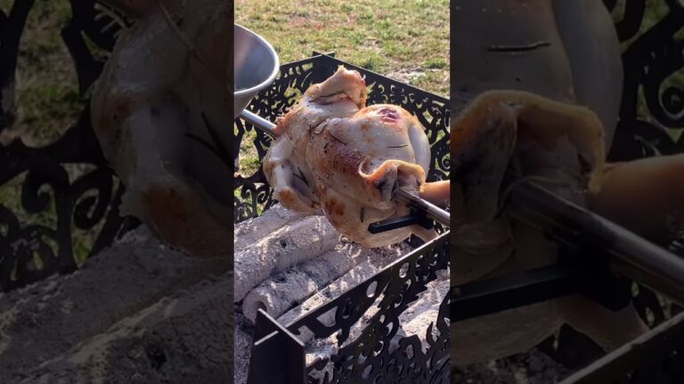 ローストチキン、ローズマリーのハケてオイル塗りながら焼きました。トルティーヤで食べました。#shorts #camping #cooking