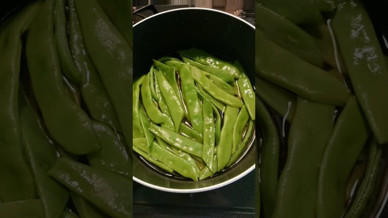 【料理】ささげの煮物作るよ～ #shorts #大角豆 #平さやいんげん