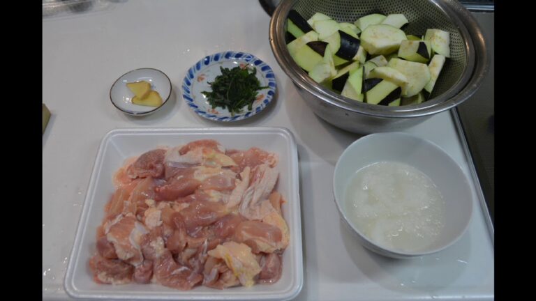171115鶏もも身と茄子のみぞれ煮