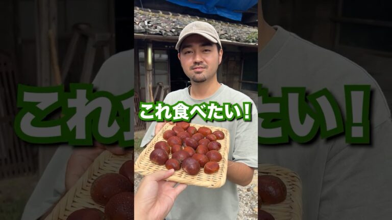 意外と知らない！？秋の味覚「栗」の捌き方教えます！