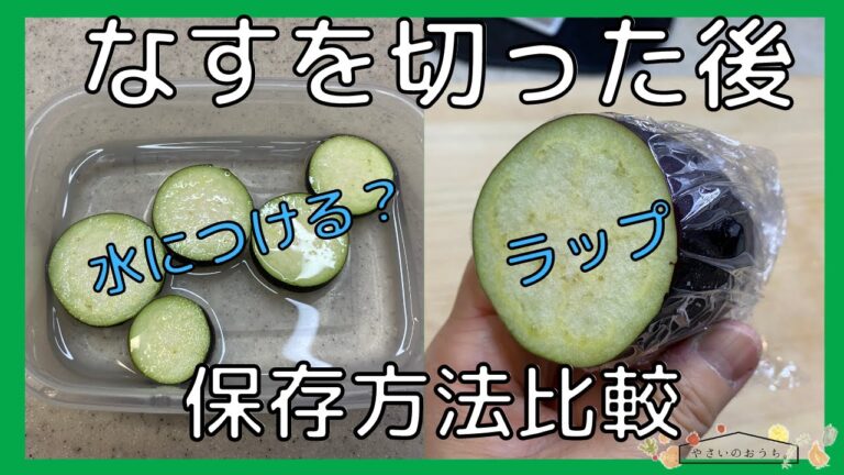 ナスを切った後の保存方法を比較！長持ちするのはラップ？水につける？