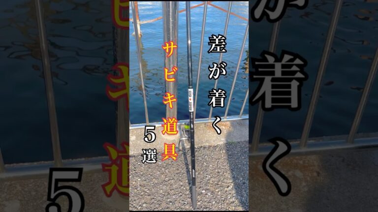 サビキ釣りに必要な道具5選！サビキボンバー2号の4.5m。サビキ仕掛け。スピードエサつけ器。アミコマセ。水汲みバケツ。魚をいれるクーラーボックス。#釣り #サビキ釣り #fishtok #dress