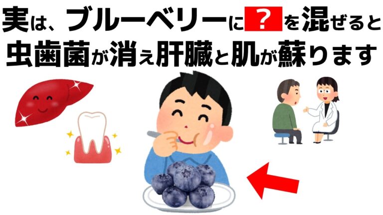 誰かに話したくなる健康雑学【ブルーベリーの真実！目だけじゃない驚きの健康効果と最強の組み合わせ】