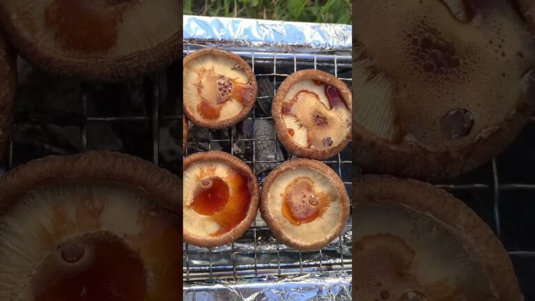 【キャンプ飯】しいたけ醤油焼き#shorts #しいたけ