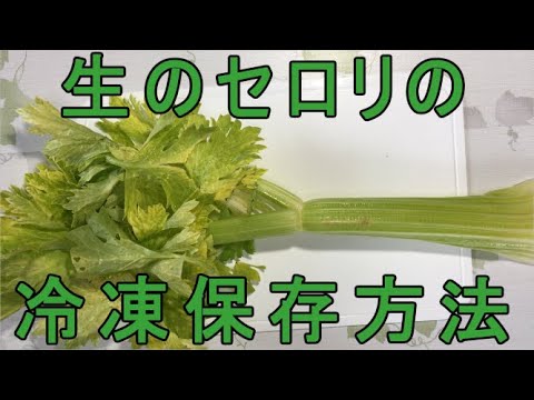 【生のセロリの冷凍保存方法】冷凍保存すると日持ちも良くて少し使う時に便利です。