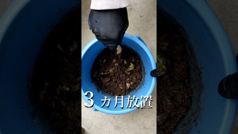 生ゴミコンポスト！？恐怖３カ月放置した結果！