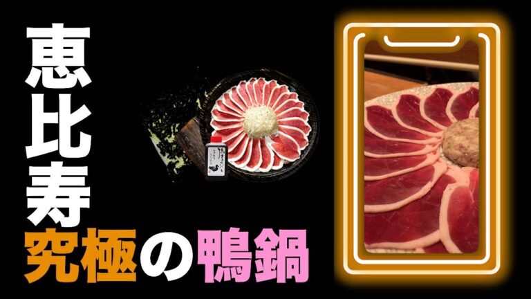 恵比寿グルメ【白髪葱と鴨肉だけの鍋、他はいらない。とりなご】#Shorts