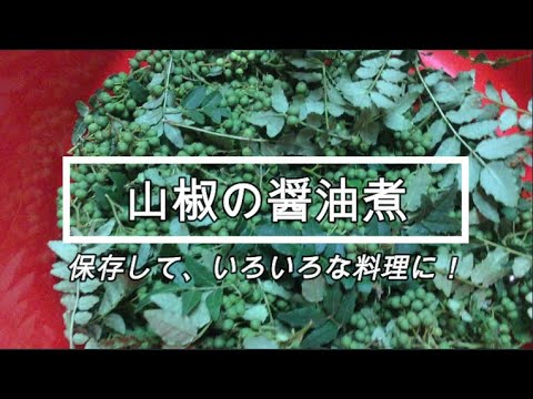 かんたんCooking ㊹　山椒の醤油煮
