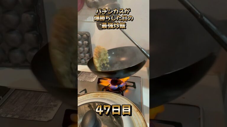 爆勝ちしたパチンカスの最高級炒飯。100日後に絶品炒飯作る人。47日目。
