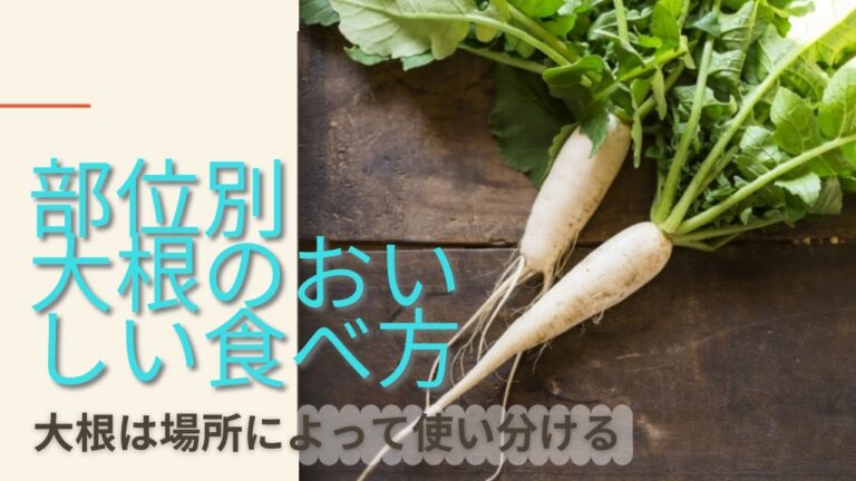 おでんに合う大根の部位はここ！部位別、大根の食べ方