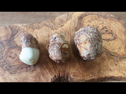 里いもの下処理の3つの方法と食べ比べをします。「茹でる」「レンジ」「蒸す」里芋の皮が「つるんっ」とむける超簡単な方法も解説。#里芋#スマート中華