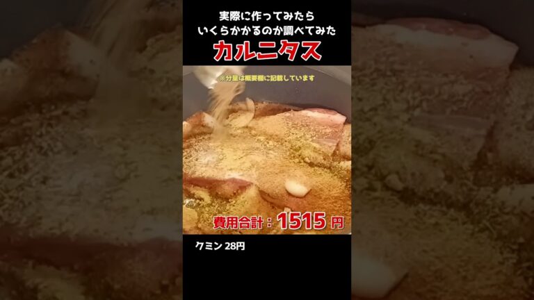 ほろっほろのカルニタス、いくらで作れるのか #メキシコ料理 #カルニタス　#トルティーヤ