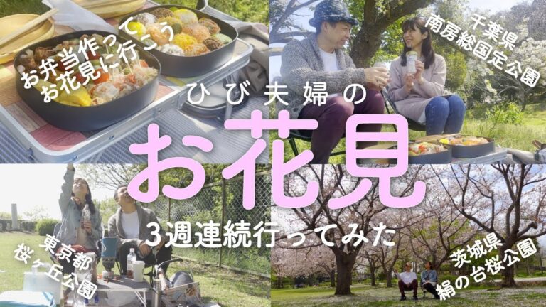 【お花見・お花見弁当】 3週連続でお花見に行ったら奇跡が起こったお話。鳥の知らせ　千葉県・房総国定公園＿茨城県・絹の台桜公園＿東京都・桜ヶ丘公園