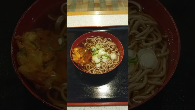 天ぷらそば【ここやん】が美味い！