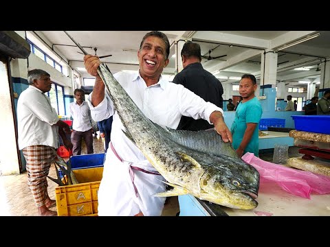 インドのシーフード朝食 - カンヌール魚市場体験！ | ケーララ州、インド