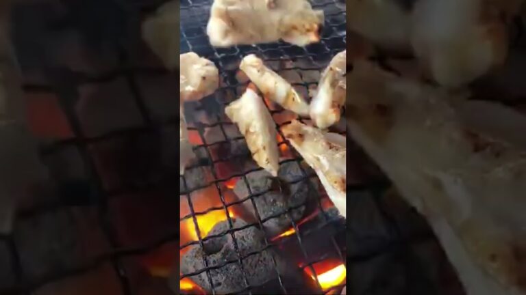 ヤゲンナンコツって安いし酒進むんよな〜。しかも低カロリーでオネシャスって感じ。#bbq #低カロリー #バーベキュー #軟骨 #なんこつ #ヤゲンナンコツ #焼き鳥