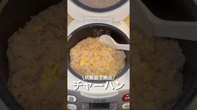 炊飯器で絶品/チャーハン