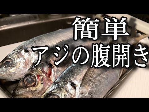 【プロの技】簡単にできる！アジの腹開きの方法！