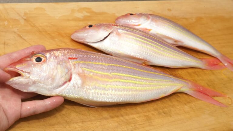 イトヨリダイの姿蒸し「フライパンでの簡単な酒蒸しの作り方」　　Steamed sea bream with sake