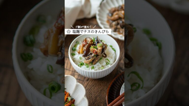 【とろとろナスきんぴら】ご飯が進む美味しさ  #腸活 #塩麹 #簡単レシピ