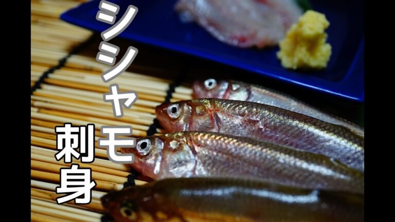 焼くだけじゃない！北海道産本ししゃものお刺身