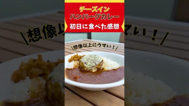 すき家チーズインハンバーグカレーが想像以上に美味すぎた🍛