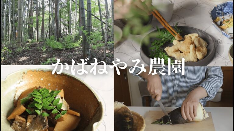 【農家のレシピ】収穫したタケノコで４品