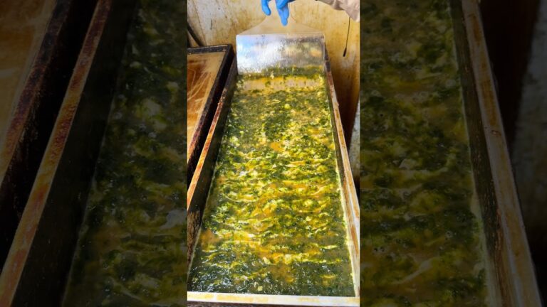 巨大鉄板で作る絶品あおさ玉子焼き