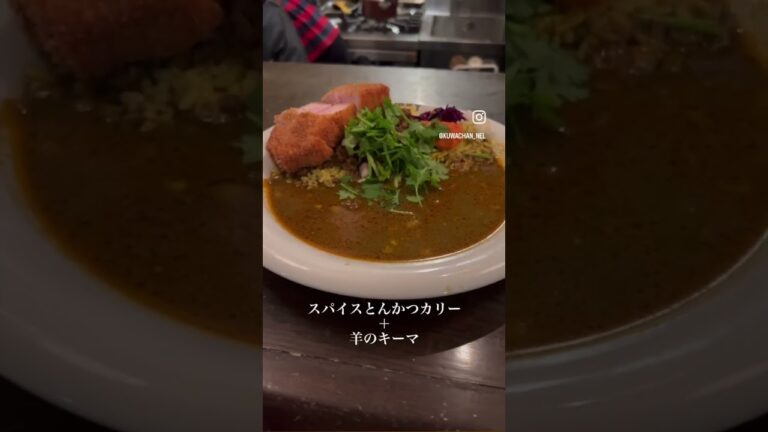 カツは必食‼️毎日通いたいサラサラカレーの名店#カレー #カレーライス #curry #スパイスカレー