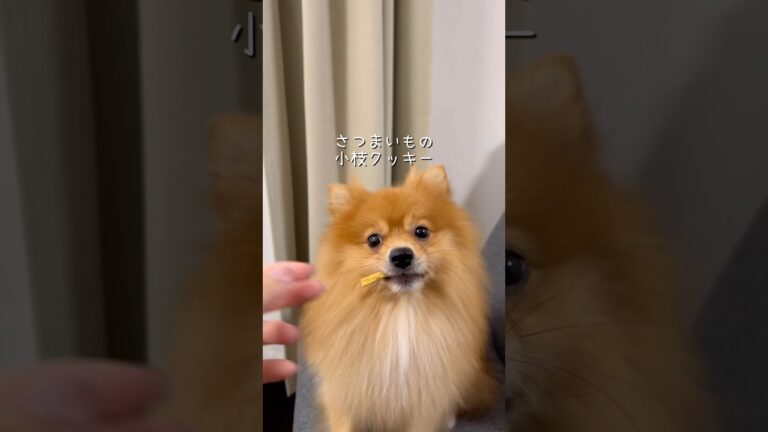 さつまいもの小枝クッキー